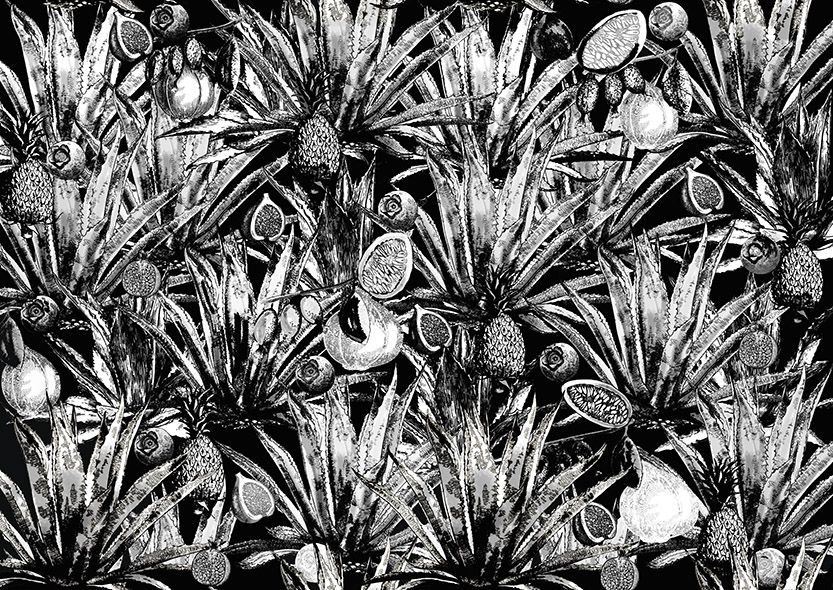 Motif Décoration Collection All Agave N&B Tissus Plante Noir Blanc by Zéphyr and Co