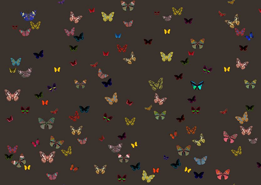 Motif Décoration Collection All Butterfly n°1 Tissus Papillons Marron by Zéphyr and Co