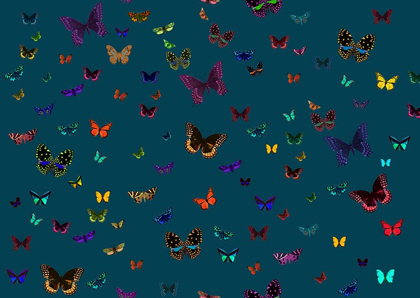 Motif Décoration Collection All Butterfly n°2 Tissus Papillons Bleu by Zéphyr and Co