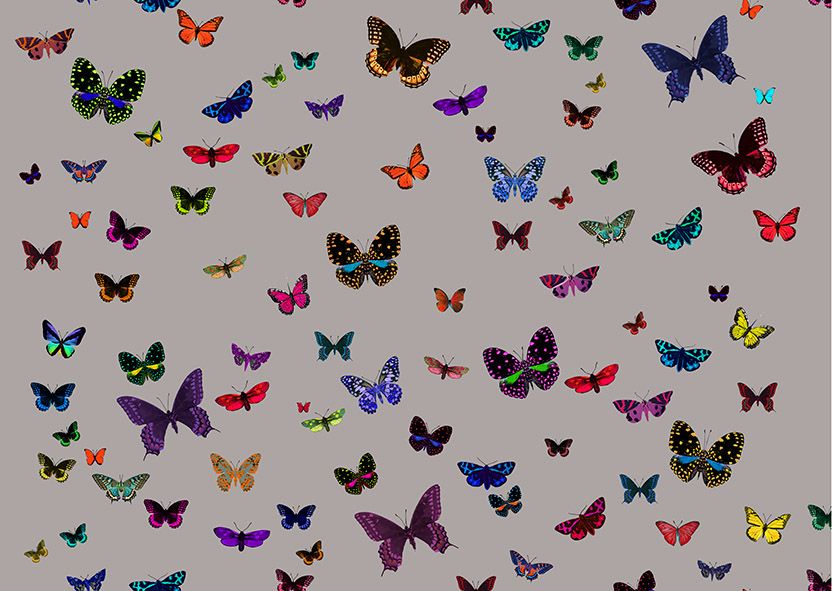 Motif Décoration Collection All Butterfly n°4 Tissus Papillons Gris by Zéphyr and Co