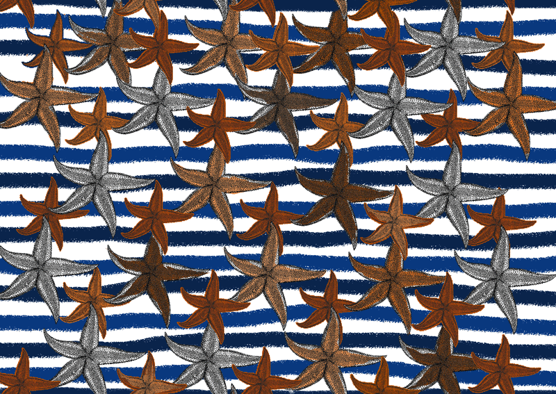 Motif Collection 231 Etoile de mer n°1 maquette Tissus Étoile de Mer Marinière Bleu Orange by Zéphyr and Co